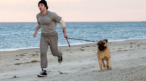 В России выйдет «Рокки — это я» о создании культового фильма Сильвестра Сталлоне