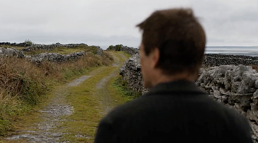 Колин Фаррелл выискивает старого друга в открывке фильма «Банши Инишерина»