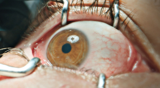 «Обитель» с Питом Дэвидсоном сменила дату выхода на 7 августа