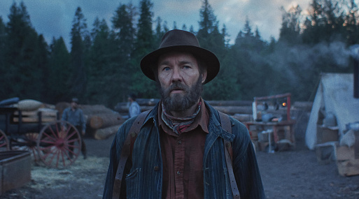 «Сны поездов» — любимый фильм года Дэйзи Ридли