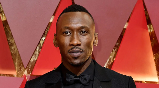 Махершала Али уклоняется от вопросов о «Блэйде» и просит оставить его в покое