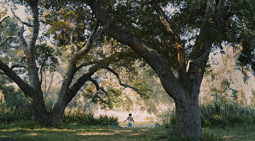 «Ты не сумасшедшая»: появился тизер мини-сериала по роману «Родня»