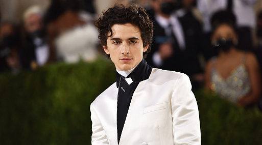 В 15 лет у Тимоти Шаламе был YouTube-канал о кастомизированных джойстиках