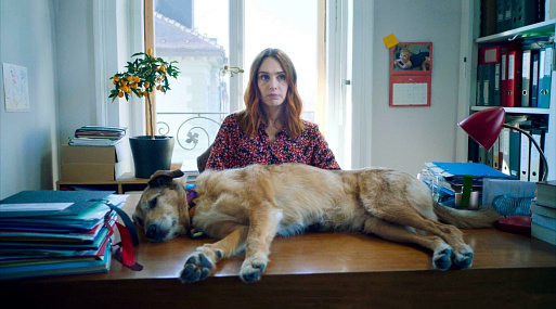 Пёс попадает под суд в трейлере комедии «Собачье дело»