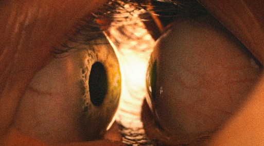 Дэйв Франко и Элисон Бри в трейлере боди-хоррора «Одно целое»