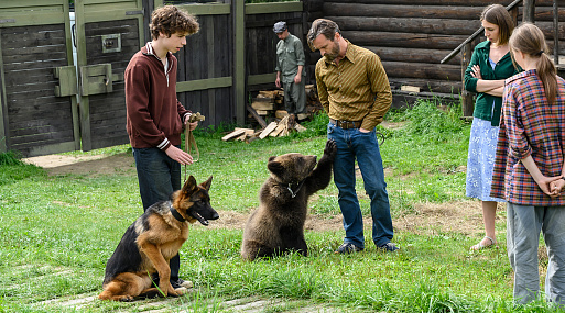 Трейлер «Пальмы 2»: как овчарка подружилась с медвежонком