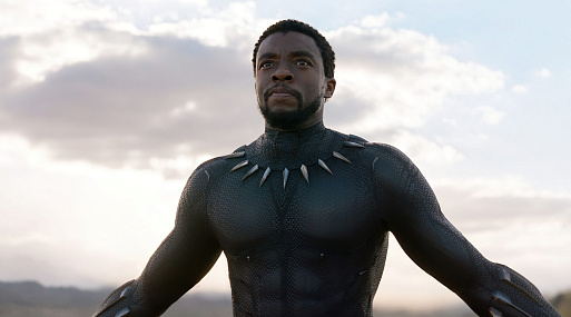 Райан Куглер рассказал, какой должна была быть «Чёрная пантера 2» с Чедвиком Боузменом