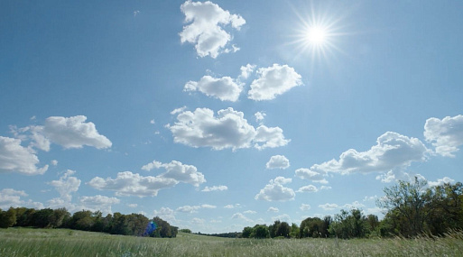 Терренс Малик снял рекламу автомобилей Ford