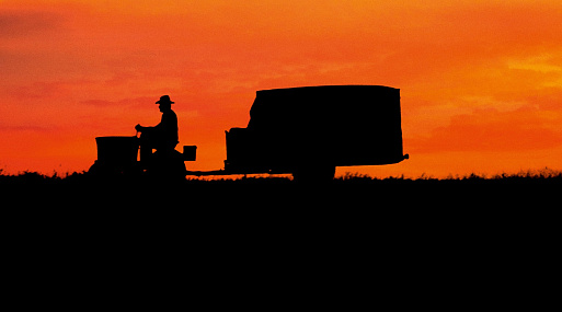 «Простая история» Дэвида Линча выйдет в российский прокат
