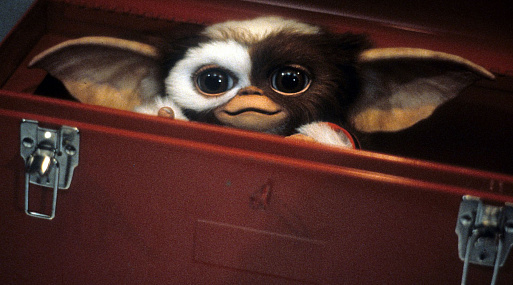 Warner Bros. работает над сиквелами «Гремлинов» и «Балбесов»