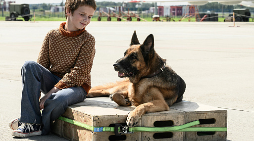 Сиквел «Пальмы» и «Письмо Деду Морозу» получат господдержку