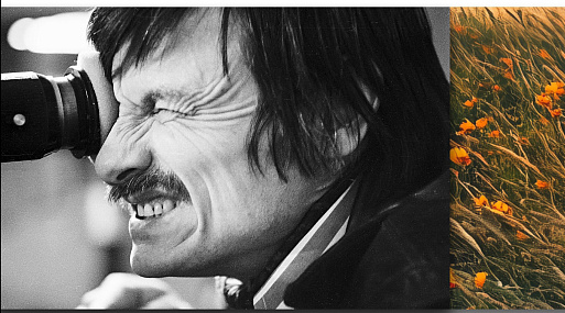 Объявлена полная программа XIX международного фестиваля «Зеркало»