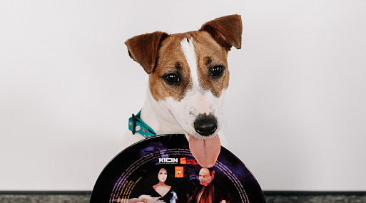 Стартовали съёмки комедийного сериала «Жека Рассел» от KION