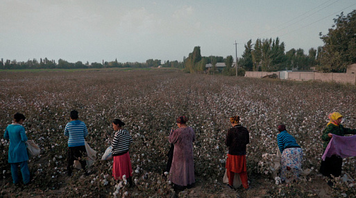 Фестиваль «Артдокфест-2022»: какие важные фильмы мы хотели посмотреть