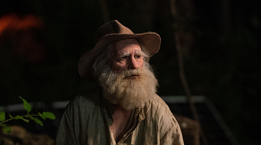 «Все страхи Бо» поставили рекорд ограниченного проката среди фильмов от A24