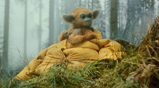 Близкие контакты с пушным зверем: «Очи» — воодушевляющая сказка студии А24