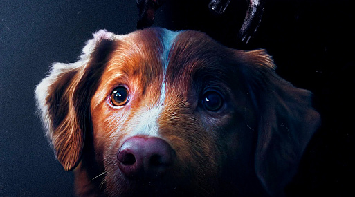 Вышел новый постер триллера «Хороший мальчик»