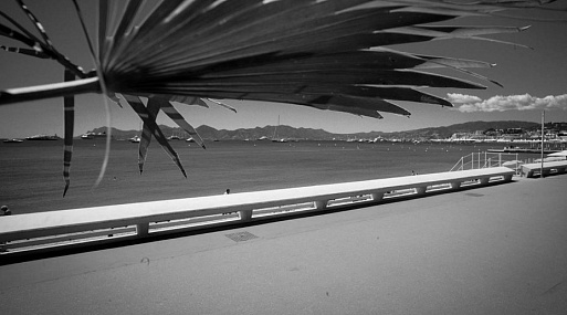 Каннский кинорынок Marché du Film обнародовал подробности проведения своего онлайн-эквивалента