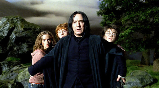 Дзен поделился статистикой контента о Гарри Поттере