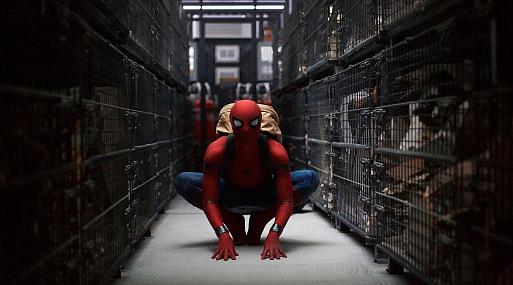 Том Холланд хотел бы объединиться с Майлзом Моралесом в игровом фильме