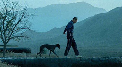 «Чёрный пёс» удостоился главного приза фестиваля «Зеркало. Философия Тарковского»