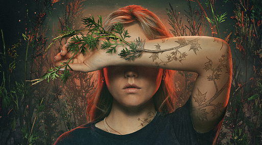 От «Библиотекаря» до «Пищеблока»: новые российские сериалы, снятые по книгам