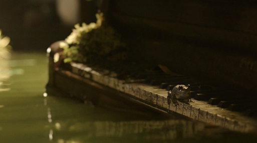 Сцена с лягушкой и фортепиано в «Одних из нас» появилась благодаря ошибке