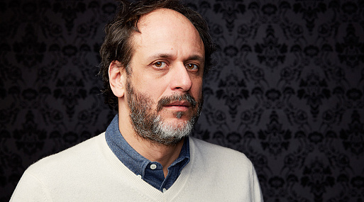 Председателем жюри кинофестиваля в Сан-Себастьяне стал Лука Гуаданьино