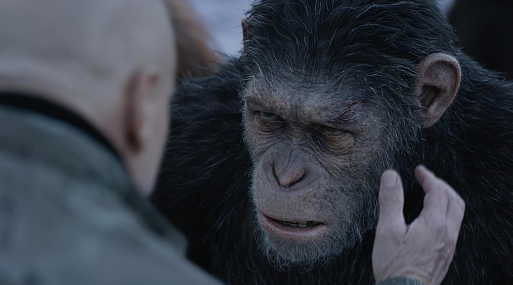 Новая «Планета обезьян» выйдет в ближайшие годы