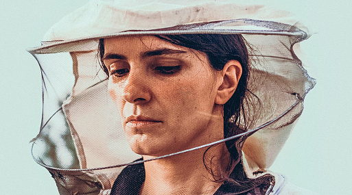 Фильм «Улей»: как тихая драма из Косово покорила мирового зрителя