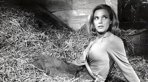 Что случилось за сутки: 6 апреля