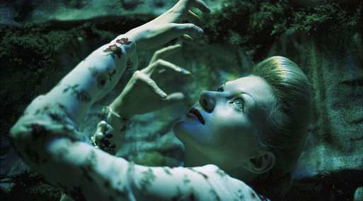 «Ленфильм» проведёт ретроспективу фильмов Ренаты Литвиновой