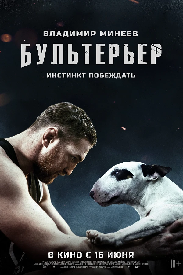 Бультерьер