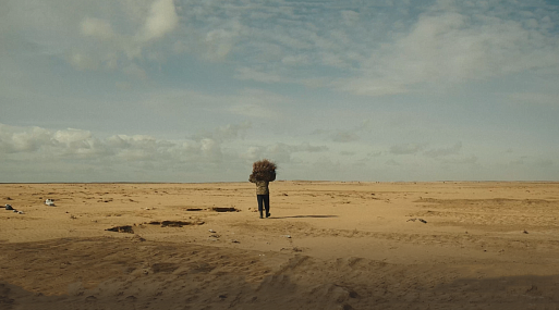 Фестивали Daira и «Докер» объявили фильмы совместной кинопрограммы