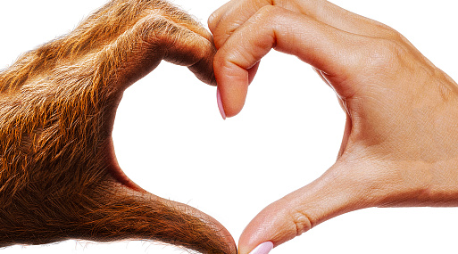 Мелисса Баррера заводит нового друга в трейлере мелодрамы «Мой сосед — монстр»