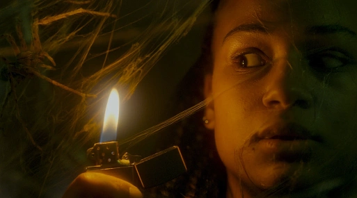 Постер и дублированный трейлер хоррора «Паутина страха»