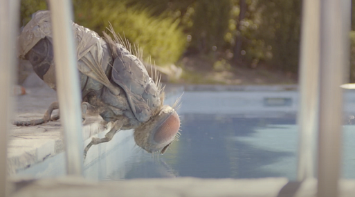 Вышел трейлер абсурдистской комедии Квентина Дюпье «Жвалы»