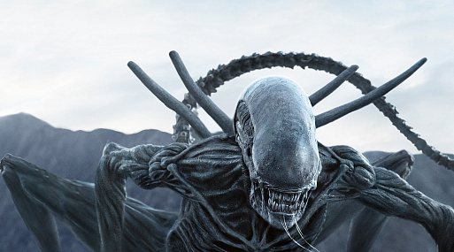 Съёмки сериала по «Чужому» Ноа Хоули могут продолжиться, несмотря на забастовку