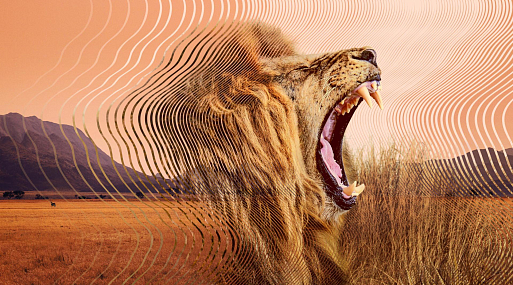 Прислушиваемся к фауне в трейлере «Тайного мира звуков с Дэвидом Аттенборо»