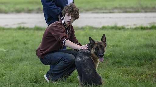 Овчарка Пальма знакомится с медвежонком в первом тизере сиквела
