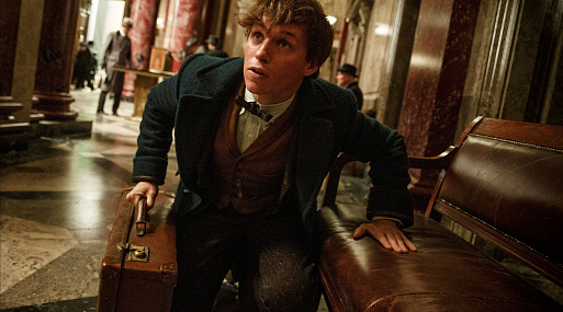 Эдди Редмэйн «позаимствовал» реквизит со съёмок «Фантастических тварей»