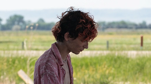 Тимоти Шаламе показал тизер фильма Луки Гуаданьино «Целиком и полностью»