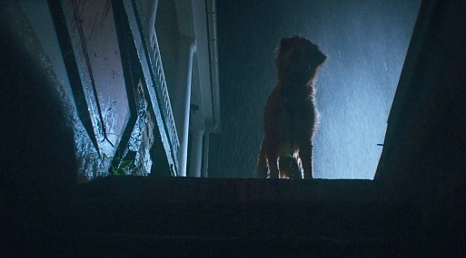 Постер фильма «Хороший мальчик» сталкивает лучшего друга человека с призраками