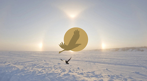 Фестиваль «Золотой ворон» открывает приём заявок