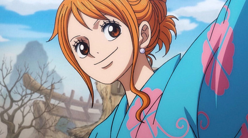 «Ван-Пис: Героини» получит аниме-экранизацию