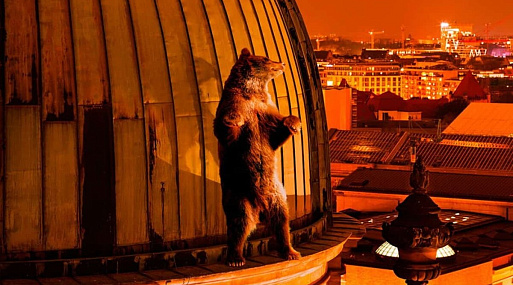 Берлинале-2018: Гид по фестивалю