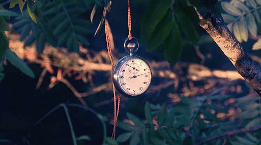 Фестиваль молодого кино VOICES объявил конкурсную программу