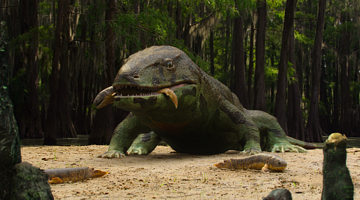 Netflix представил трейлер документального проекта «Жизнь на нашей планете»