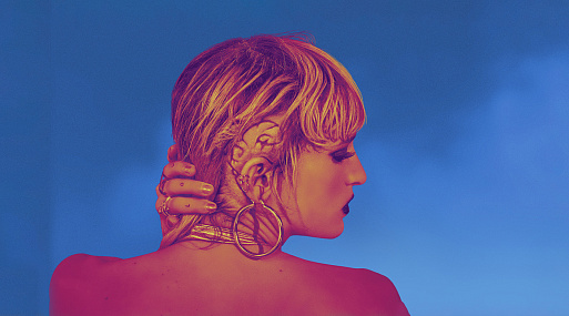 «Французский экстрим» в кино: тело, боль, проникновение