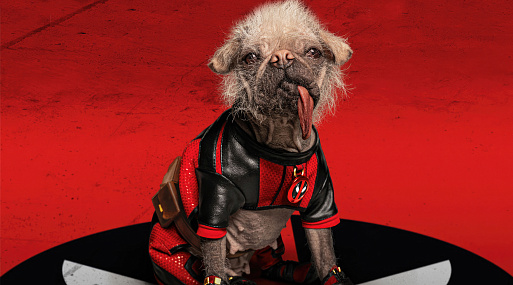 Дэдпул, Росомаха и Догпул на новых обложках Total Film